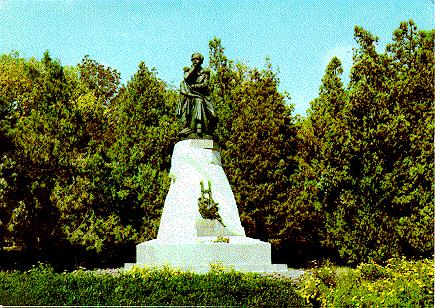 Click to Enlarge