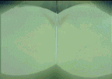 mm511.gif (8615 bytes)
