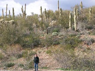 Cactus Jack
