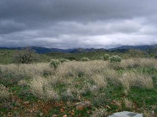 Near Biosphere