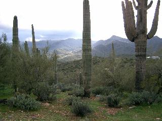 Outside Tucson Near Ray Mine