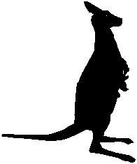Image of Kangaroo Hopping