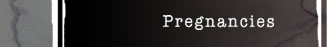 Pregnancy Photos