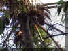 DSC00045.JPG (200589 bytes)