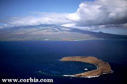 molokini.jpg (8313 bytes)