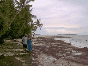 shipwrecked island