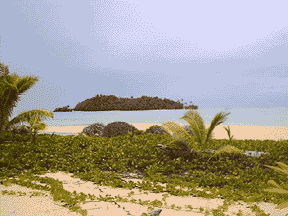 foot island