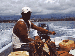 wasie fiji