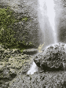 lauren waterfall