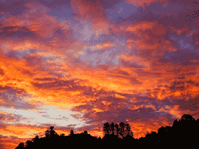 amazing sunset