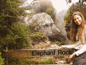 elephant rock