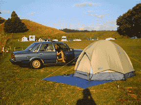 waitomo campsite