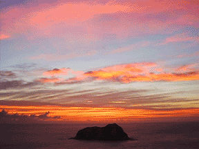 Sunrise at Te araroa