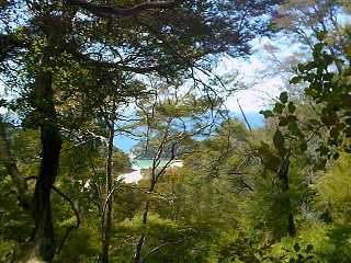 abel tasman coastal views 2