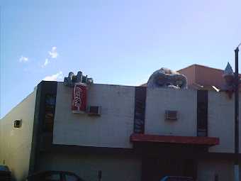 gorilla on top of building