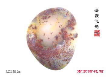 p02