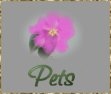 Pets