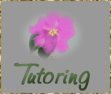 Tutoring