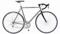 Mongoose Bosberg