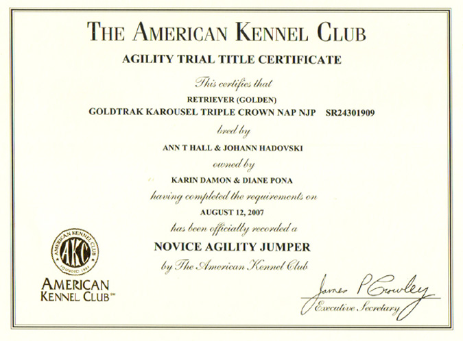 NOVICE AGILITY JUMPERS TITLE