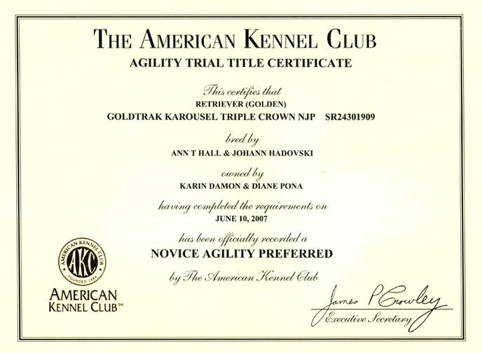 NOVICE AGILITY PREFERRED TITLE