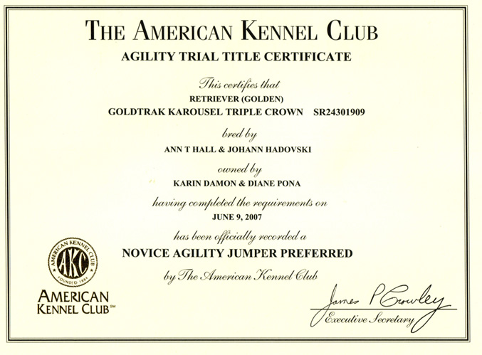 NOVICE AGILITY JUMPERS PREFERRED TITLE