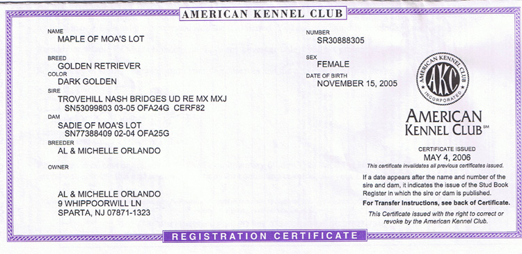 AKC Registration of Maple of MOA's Lot