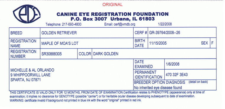 CERF&nbsp;&nbsp;&nbsp; Eye Clearance of Maple of MOA's Lot