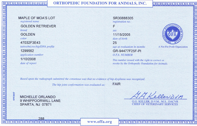 OFA Hip Certification of Maple of MOA's Lot