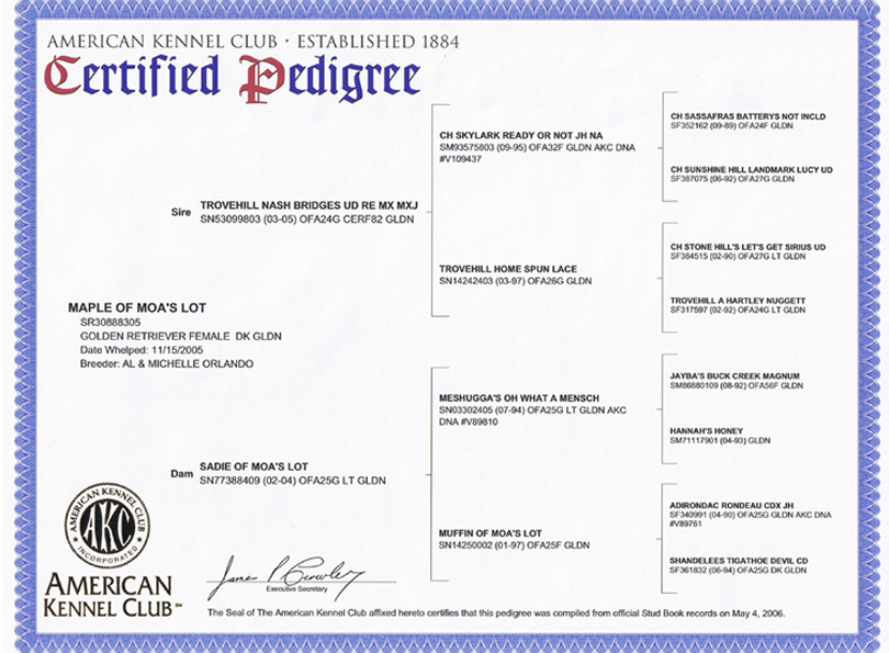 Certified Pedigree of Maple of MOA's Lot