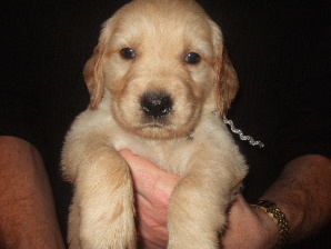 MALE