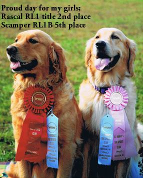 Click to go to ABOUT MY DOGS