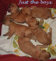 MALES
