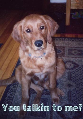 zack8mos.jpg