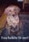 zack8mos_small.jpg