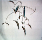 Silver Flock