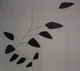 blackpetals