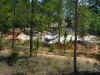 P1010011.jpg (434769 bytes)