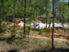P1010012.jpg (434301 bytes)