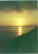 Capecod.jpg (5069 bytes)