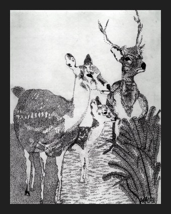 /user/Deer.jpg