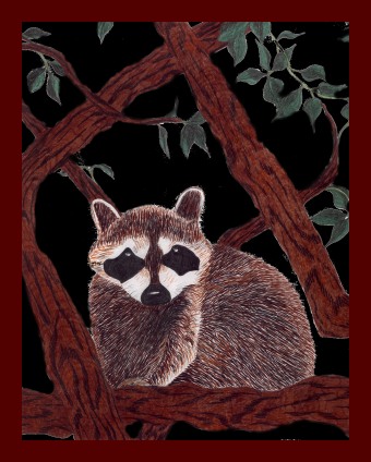 /user/Raccoon.jpg
