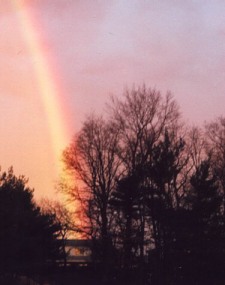 /user/Rainbow.jpg