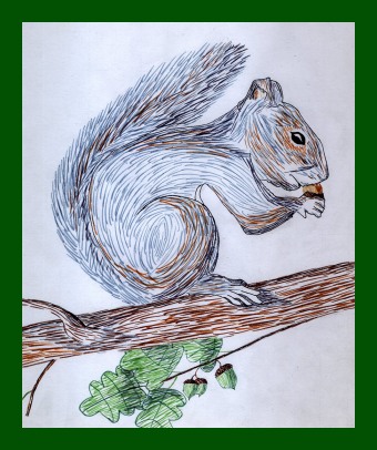 /user/Squirrel.jpg