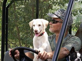 Jeff and Olive aka Sharks and THE DOG