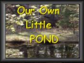 Our Own Little Pond 
