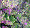 Landsat image of Ebola river and deforestation