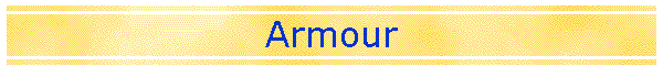 Armour
