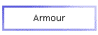 Armour