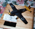 Captured P51C